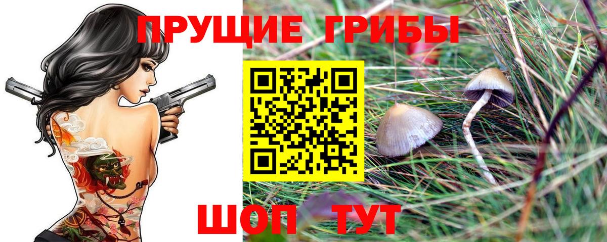 Галлюциногенные грибы Psilocybine cubensis Дзержинский