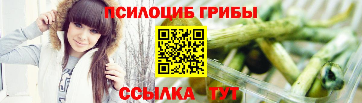 Псилоцибиновые грибы GOLDEN TEACHER  Вход с VPN  Дзержинский  Псилоцибиновые грибы GOLDEN TEACHER 